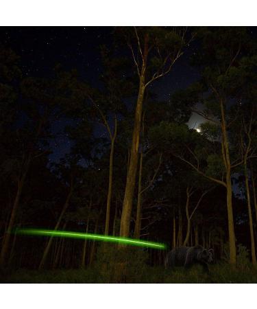 6PCS S Lighted Nock for Arrows - .244/6.2mm Inside Diameter LED Nocks for Archery Hunting (Green) - Pack of 6 - Buy Online on GoSupps.com