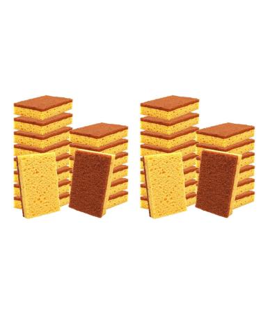 Clisted 32 Pack Biodegradable and Compostable Sponges Scouring Pad Palm Fiber Eco-Friendly Sponge for Kitchen Dishes Cleaning