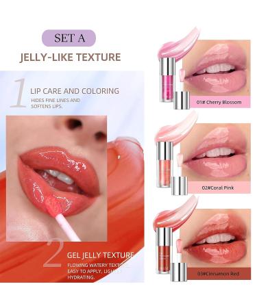 QiBest Lip Oil Hydrating Gloss Set - Cherry Blossom, Coral Pink, Cinnamon - Buy Online on GoSupps.com