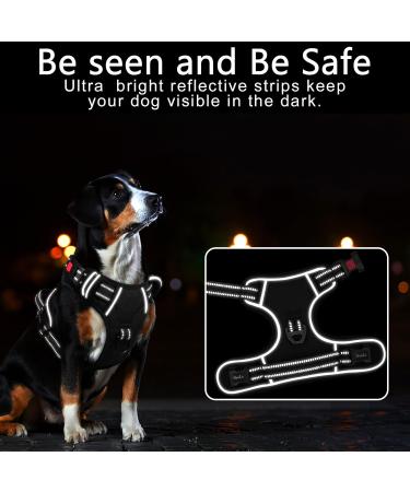 Heele Dog Crockery & Adjustable Reflective Harness - Lockable Dog Running Harness for All Sizes - Buy Online on GoSupps.com