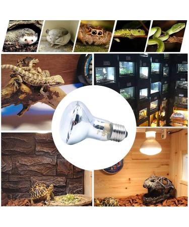 ANCLLO 2pcs Transparent Reptile Heating Bulbs Durable Infrared Heat Lamp Warming Light Bulb Pet Light for Reptile and Amphibian Lizard Tortoise Spider Snake Chameleon 220-230V(75W) - Buy Online on GoSupps.com