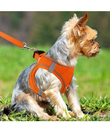 Joyal Dog Harness for Small Dogs | Reflective Soft Padded Air-Mesh for Puppies | Orange S-Breast (38-42cm) - Buy Online on GoSupps.com