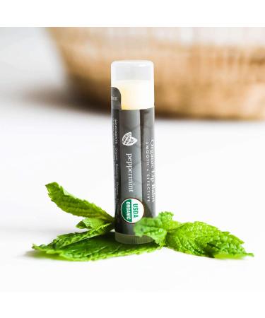 Organic Peppermint Lip Balm Pack - 4 Natural Moisturizers for Dry Lips | Ideal Christmas Stocking Stuffer for Men & Women - Buy Online on GoSupps.com