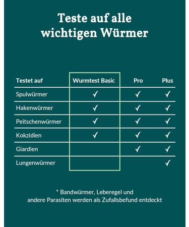 Vetevo Wurmtest Dog - Fast 12h Results for Roundworms Hookworms & Coccidia - Precise Parasite Test for All Dogs | International Shipping - Buy Online on GoSupps.com