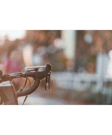 231619 Handlebar Mount for Phone & GoPro - Universal Bike Accessory for Easy Capture & Navigation - Buy Online on GoSupps.com