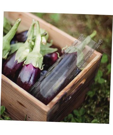 SUPVOX 1pc Plastic Stereotype Star Shaped Planting Growing Molds Forming Shaping Fruit Growth Supply Tool - Buy Online on GoSupps.com