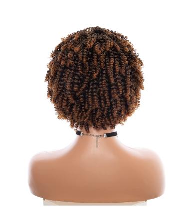 8 Inch Short Curly Wig for Black Women - Kinky Synthetic Afro Wig | #T-30 - Buy Online on GoSupps.com