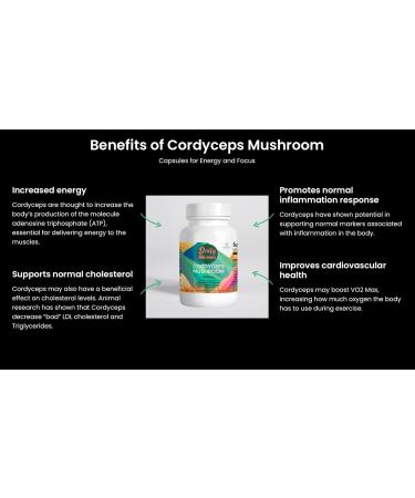 Daily Shroom by Boho Eco Boutique | Premium Cordyceps Mushroom Capsules |Natural Energy Stamina & Immune Support Vegan Non-GMO Adaptogenic Supplement for Performance & Endurance 60 Count - Buy Online on GoSupps.com