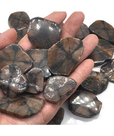 Natural Crystal Rough 50-500g Natural Crystal s Polished Tumbled Gravel Specime Gems Gem Raw Aquarium Home Decoration (Color : Clear Quartz Size : 500g) 500g Clear Quartz - Buy Online on GoSupps.com