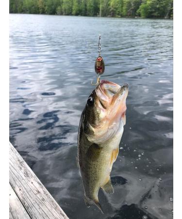 Valley Tieless Fishing EZ Fishing KIT  Tackle Box  Including EZ Tieless Hooks  Crank Baits  Spinner Baits  Lifelike Lures  Plastic Worms  Braided Fishing Line  Freshwater Fishing Gear - Buy Online on GoSupps.com