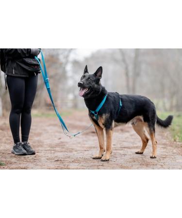 Chaba Guard Dog Harness for Large Dogs | Anti-Choke & Control - Adjustable Step-In Lightweight Harness for Running - XL Size - Buy Online on GoSupps.com