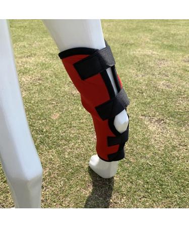 Dog Leg Brace 2 Pack Canine Dog Leg Joint Wraps Compression Brace Protects Wounds Prevents Injuries and Sprains Helps with Loss of Stability Caused by Arthritis Pet Kneepad|Red (M) - Buy Online on GoSupps.com