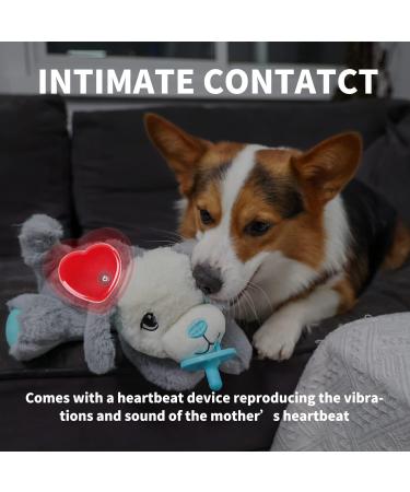 All For Paws Cuddly Toy for Dogs - Heartbeat Plush Puppy Toy for Behavioral Aid | International Shipping Available - Buy Online on GoSupps.com