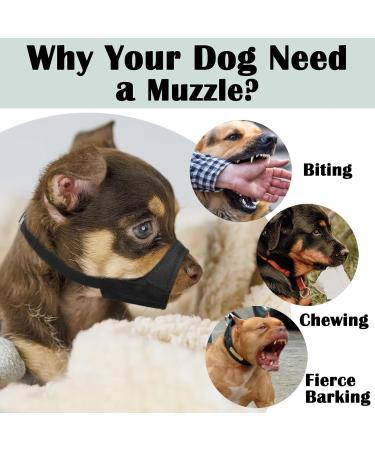 Shop Mayerzon Soft Muzzle for Short Snouted Dogs | Ideal for Chihuahua Shih Tzu & American Bulldog | XXS Size - Fur Care & Comfort - Buy Online on GoSupps.com