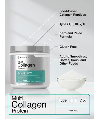 Horbaach Multi Collagen Protein Powder 16 oz | Type I, II, III, V, X | Hydrolyzed Peptides | Keto & Paleo | Unflavored & Gluten Free - Buy Online on GoSupps.com