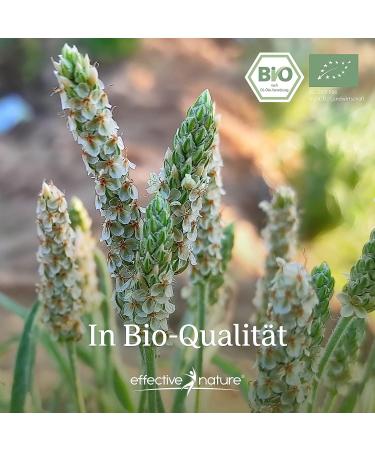 Organic Psyllium Husk Powder 300g - 99% Purity Finely Ground 85% Fiber - Effective Intestinal Cleansing - Ships Internationally - Buy Online on GoSupps.com