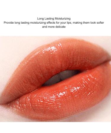 Tinted Lip Balm | Compact & Portable Dryness Prevention Lipstick | Perfect for Outdoor Use - Buy Online on GoSupps.com