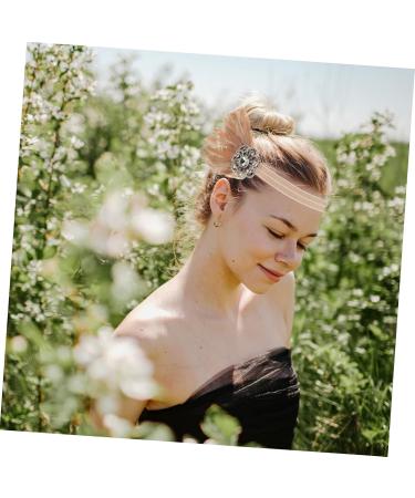 Mikinona 1pc Feather Diamond Headband Womens Accessories Rhinestone Headband Diamond Diamond Bridal Headband Bride Headpieces for Wedding Womens Headbands Womens Head Bands Prom Headpiece - Buy Online on GoSupps.com