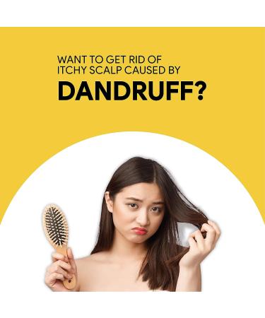 Sulfur 8 Medicated Original Formula Anti-Dandruff Hair Conditioner 2 Oz (Pack of 2) - Buy Online on GoSupps.com
