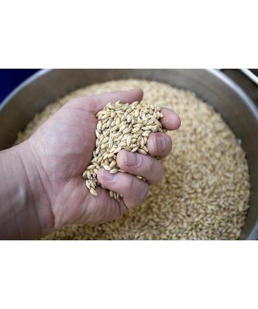 Whole Grain Barley 200g Natural