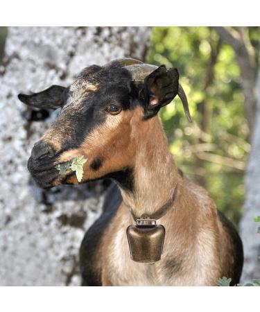 HEALLILY 2Pcs Cow Horse Sheep Grazing Copper Bells Cattle Farm Animal Copper Loud Bronze Bells Animal Anti-Lost Accessories Bell Cattle Farm Animal Loud Bronze Bell L 6.3*4.8*3cm - Buy Online on GoSupps.com