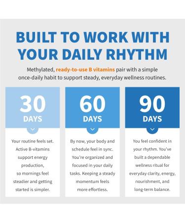 9-in-1 Methylated B Complex with Vitamin C, B Complex, B12 & L-5-MTHF - Vegan, Non-GMO, Gluten-Free & GMP-Certified Energy, Brain & Wellness Daily Methylcobalamin Multivitamin (90 Servings, Pack of 1) 90 Count (Pack of 1) - Buy Online on GoSupps.com