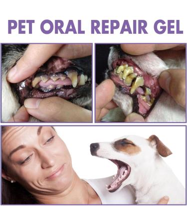 LWJUWOKL 3PCS Pet Oral Repair Gel Dog Cat Teeth Cleaning Gel Pet Breath Freshener for Dogs & Cats Pet Oral Restorative Gel - Buy Online on GoSupps.com