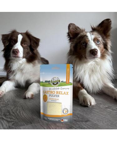 Bellfor Gastro Relax Powder Food Supplement for Dogs - 80 g. Supplement for the Digestive Health of Dogs. Designed for Dietary Diarrhea Soft Feces and Leishmaniasis. - Buy Online on GoSupps.com