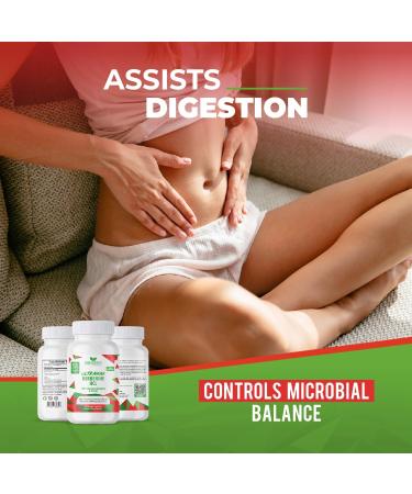 Ultramax Berberine HCL with Ceylon Cinnamon Hydrochloride Supplement Capsules 60 Count (Pack of 1) - Buy Online on GoSupps.com