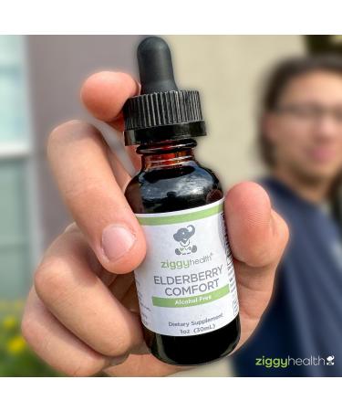 Organic Elderberry Tincture - Elderberry Extract - Liquid Elderberry Drops Immune Support Respiratory Support & Defense 1oz - Ziggy Health - Buy Online on GoSupps.com