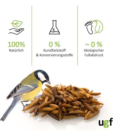 UGF Soldier Fly Larvae (500g) - Superior to Dried Mealworms - 85x Calcium - Ideal Treats for Birds Turtles Rodents & More - Buy Online on GoSupps.com