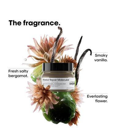 L Or al Professionnel Absolut Repair Molecular Hair Mask - Repair & Restore Extremely Dry Damaged Hair | Extra Hydration & Detangling Peptides Bonder - Buy Online on GoSupps.com