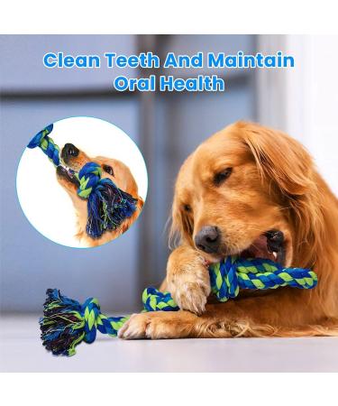 Feeko Large Dog Rope Toys 2 Pack - Heavy Duty XL Indestructible Chew Toy for Aggressive Chewers - Tug of War Dog Toy - Teeth Cleaning - 100% Cotton - Blue - Buy Online on GoSupps.com