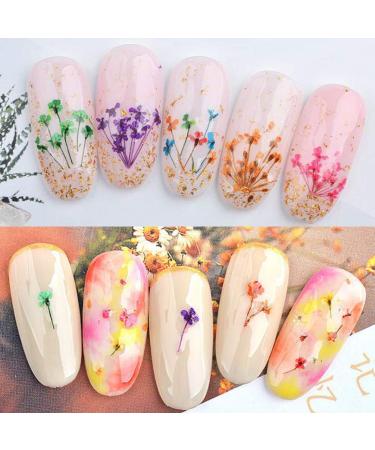 Kingmas 12 Colors Dried Flowers Nail Art Supplies - Mini Real Natural 3D Applique Decoration Sticker - Buy Online on GoSupps.com