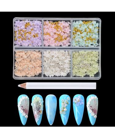BAIYIYI Mixed 3D Flower Nail Charms and Metal Caviar Beads  Acrylic Resin Flowers Nail Design Gold Silver Nail Ball Beads for DIY Decoration Nail Craft Accessories With Pickup Pencil 6 Colors/Flower + Caviar Beads(Style ...
