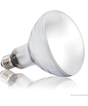 Buy Exo Terra PT2193 Solar-Glo 160W - Premium UVB & Heat Lamp for Reptiles - International Shipping Available - Buy Online on GoSupps.com