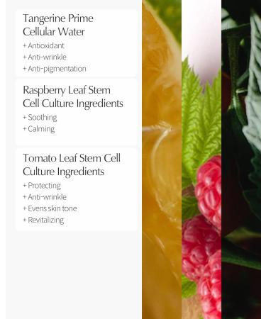 LBB Cellular Intensive Nourishing Eye Cream | Vegan Anti-Aging Eye Treatment | Reduce Wrinkles & Nourish Skin | Tangerine Water & Vitamin E | 0.5 oz - Buy Online on GoSupps.com