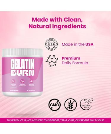 (5 Pack) Gelatin Burn Powder Official GelatinBurn Premium Supplement Advanced Formula All Natural Formula Powder For Overall Health LifeStyle & Wellness Support 150 Servings For 5 Months - Buy Online on GoSupps.com