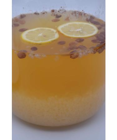 Buy Japanese Crystals & Kefir Grains - Water & Milk Kefir Combo Package | International Shipping - Buy Online on GoSupps.com