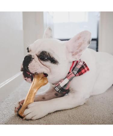 Durable Dog Toy for Big Dogs - Indestructible Chew Toy & Bite-Proof Puppy Bone (17.3x5.3cm) | Best for Aggressive Chewers - Buy Online on GoSupps.com