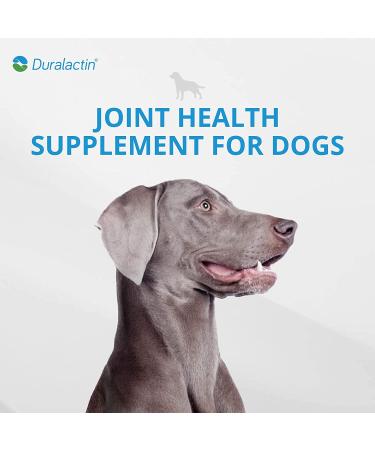 Duralactin Canine Soft Chews Joint Health Supplement for Dogs, Reduces Inflammation, Chicken-Liver Flavored, 60-Count Bottle - Buy Online on GoSupps.com