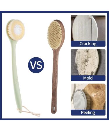 Long Handle Back Brush for Shower - Mold-Free Wet or Dry Brushing for Men & Women - Buy Online on GoSupps.com