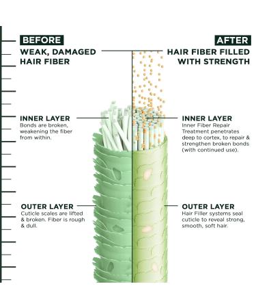 Garnier Fructis Hair Filler Strength Repair Shampoo - Sulfate Free Vitamin Cg for Weak & Damaged Hair 10.1 Fl Oz - Shop Internationally - Buy Online on GoSupps.com