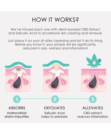 CHOK BEAUTY Double Blemish | Award winner | Vegan Cruelty-Free | Quality Guarantee | UK Brand - Buy Online on GoSupps.com