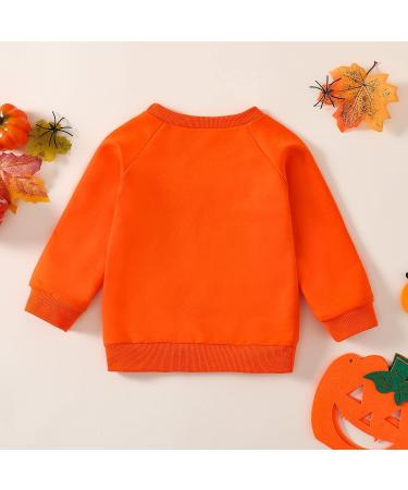 Pumpkin Print Toddler Halloween Sweatshirt | Orange Pullover for Boys and Girls 2-3T - Buy Online on GoSupps.com