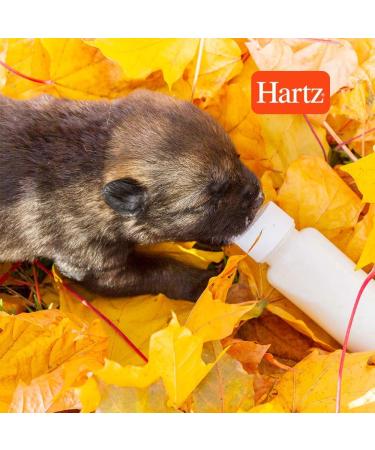 Hartz Pet Nursing Bottle - Feed Newborn Animals with Ease - Buy Online on GoSupps.com