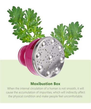 Portable Electric Moxibustion Box Set - Therapeutic Massage Cups & Health Accessories for International Shipping - Buy Online on GoSupps.com
