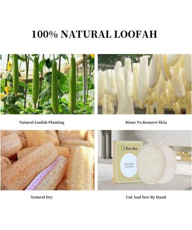 Zenidoo Natural Loofah Exfoliating Body Scrubber - Eco-Friendly Luffa Pads for Shower, Men and Women - Large Size, 2 Pack - Buy Online on GoSupps.com