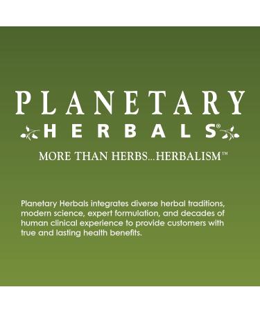 Planetary Herbals Artichoke Extract Tablets 500 mg 60 Count - Buy Online on GoSupps.com