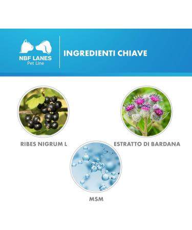 NBF Lanes Ribes Pet Ultra Paste 30g - Buy Online on GoSupps.com